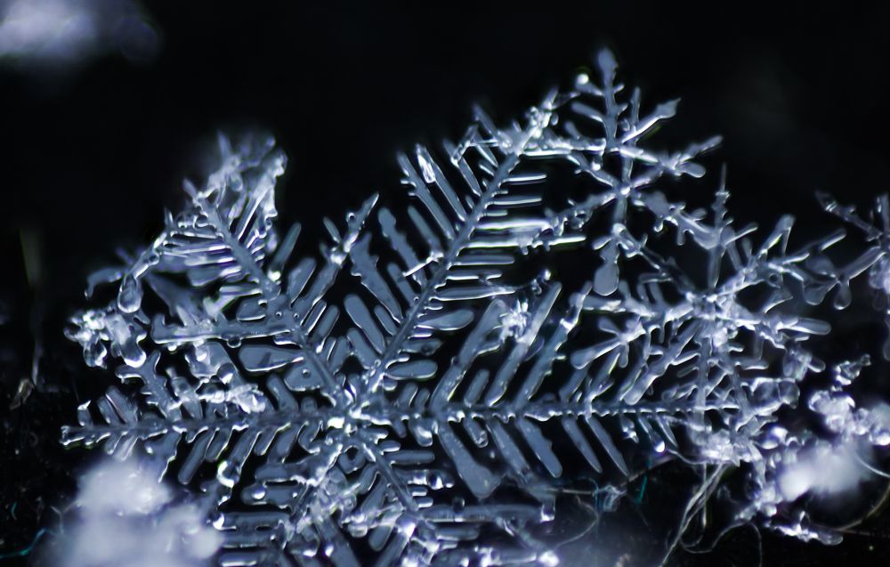 Photograph by Матвеев Денис