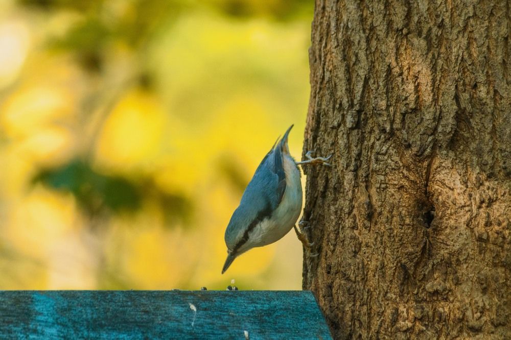 Photograph by Pavel Morozov