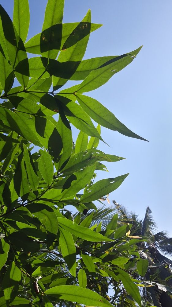 Photo #6602795