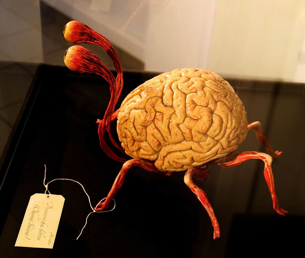 Фотография автора АЛЕКСАНДР ЦЫГЕЛЬНЮК