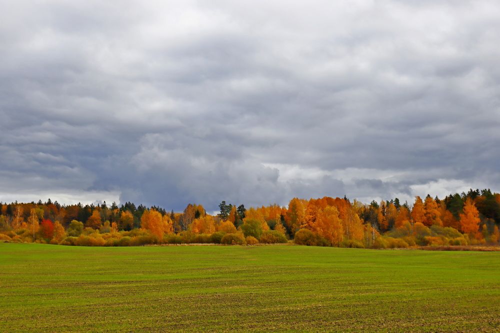 Фотография автора Сергей Барановский