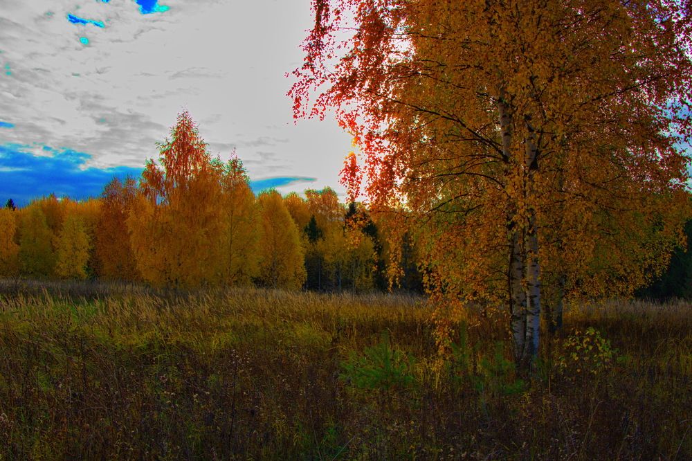 Осенний день.