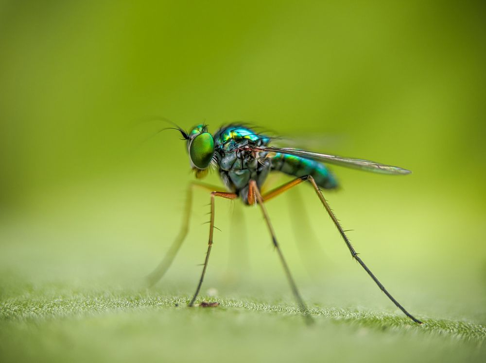 Photograph by Bistupada Mondal