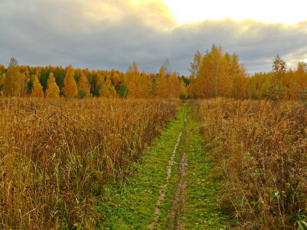 Осенний вечер.