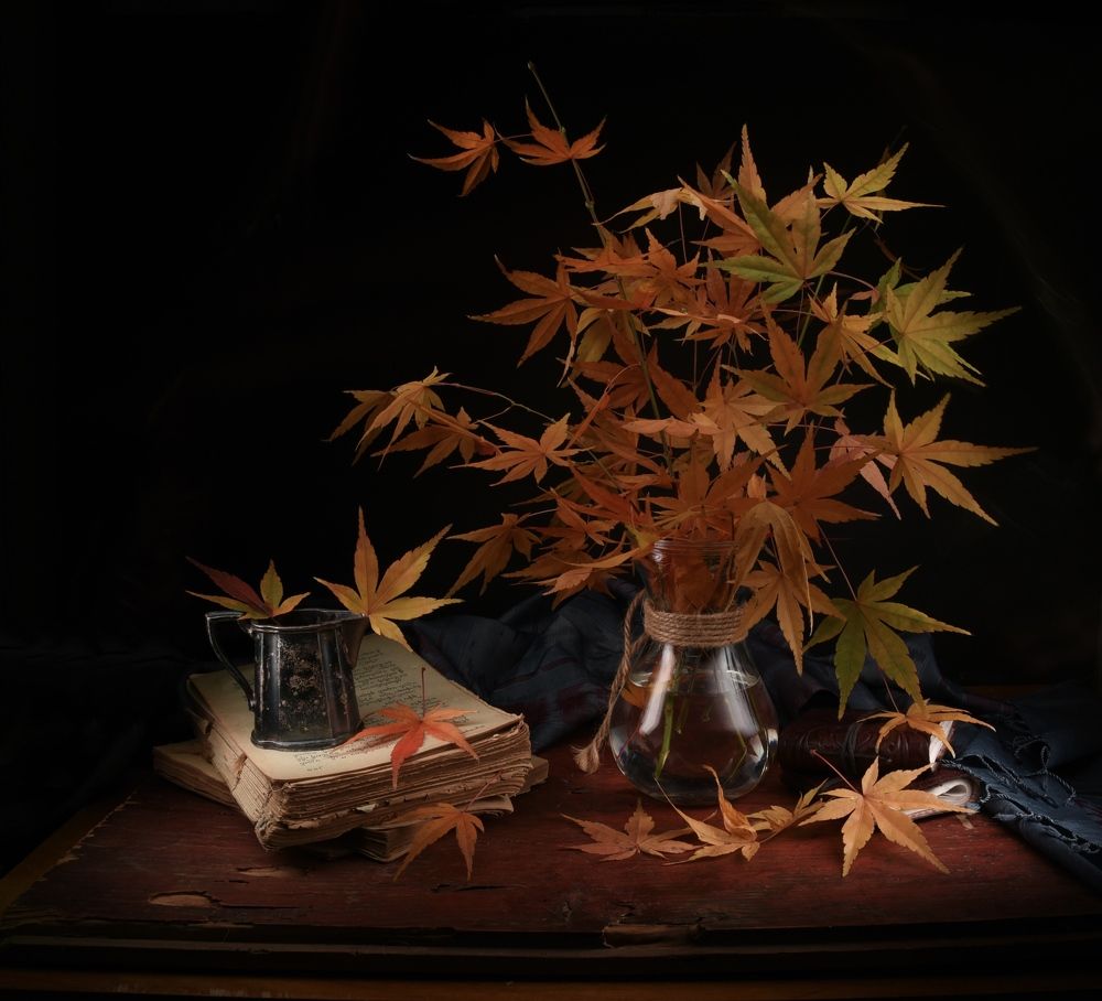 Фотография автора Cho M. Oo