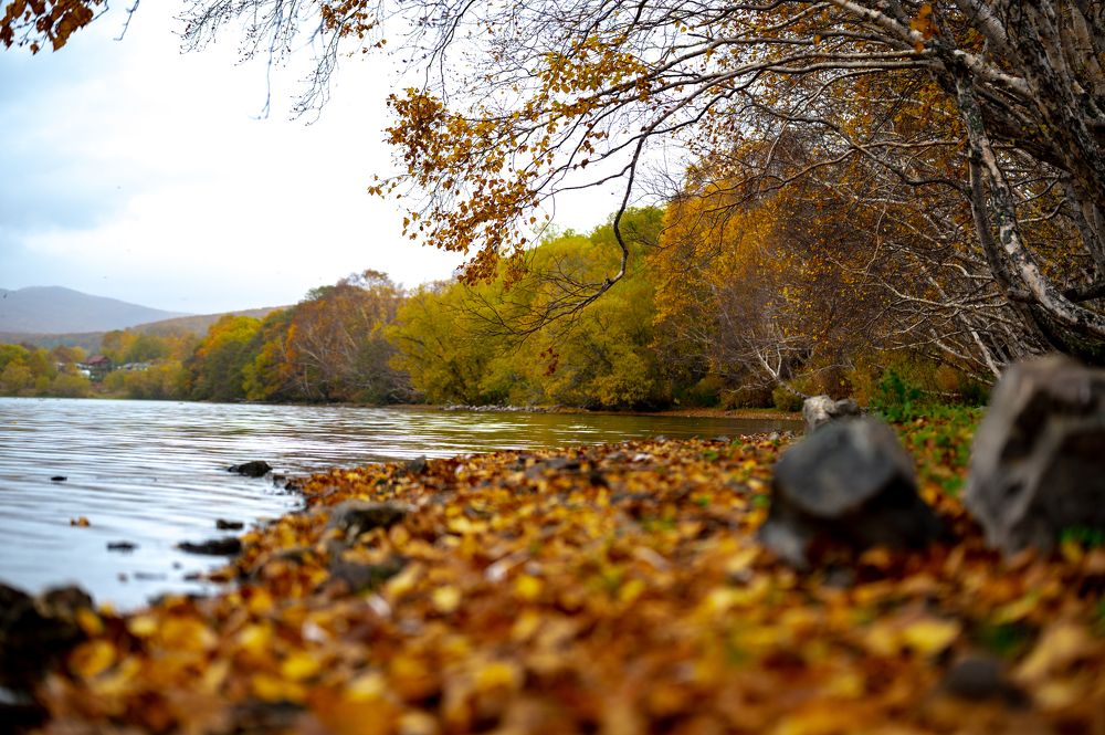 Камчатская осень