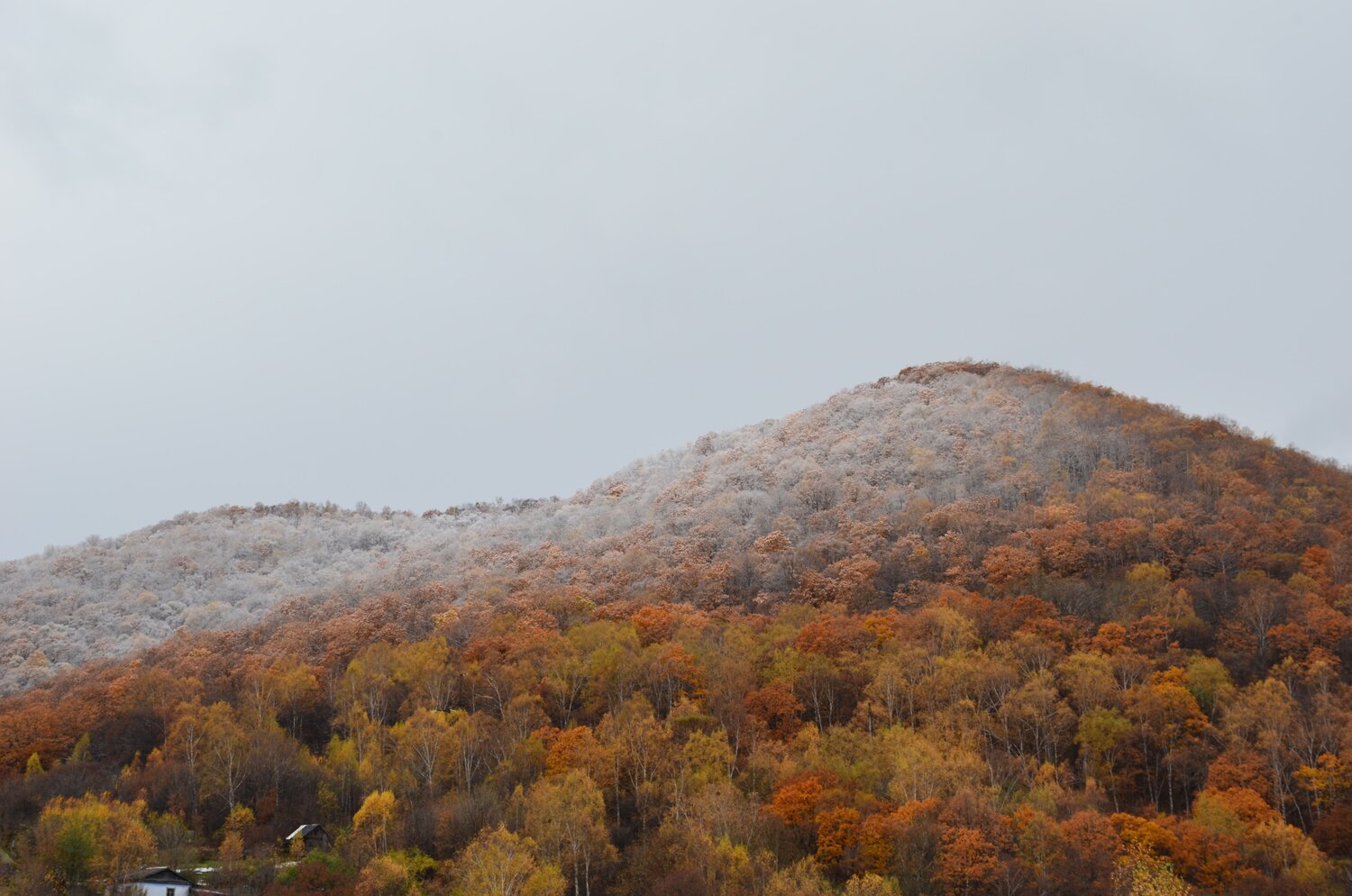 Photo #6602948