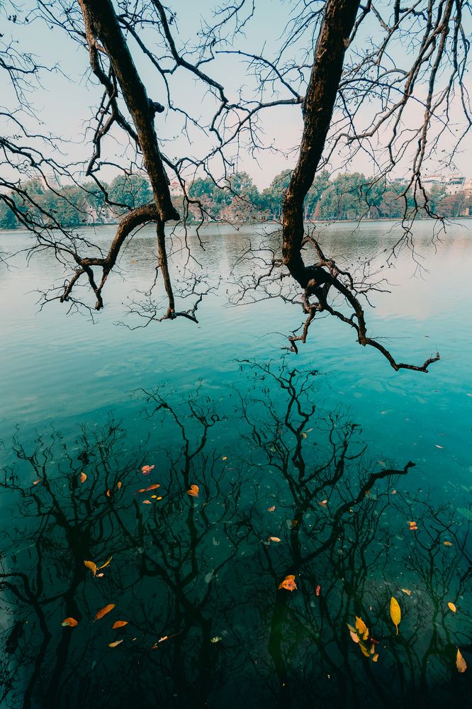 Photograph by Hung Le Thanh