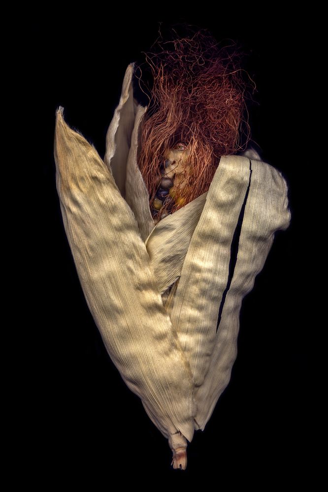 Звезда полей