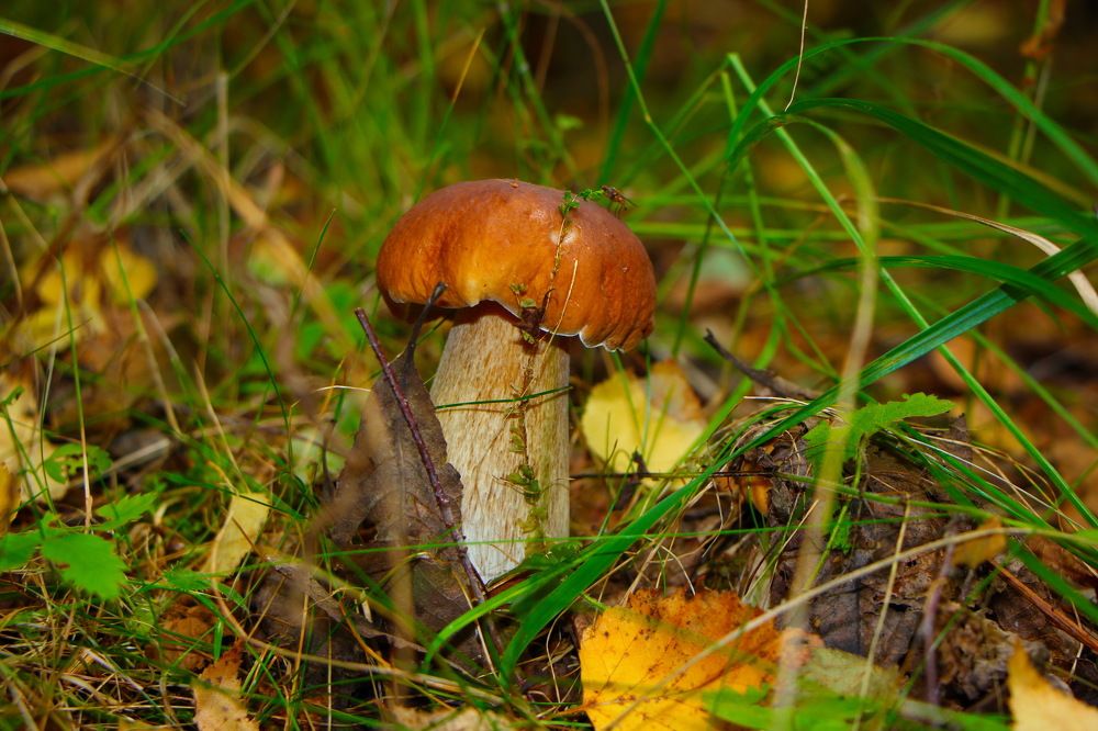 Photograph by Анатолий Борисов