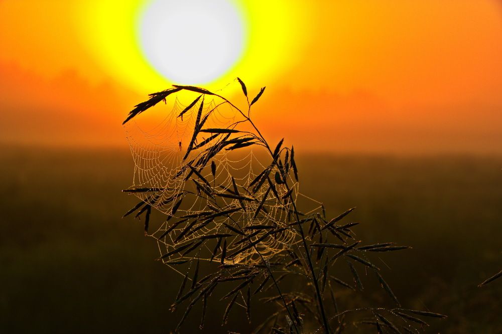 Photograph by 