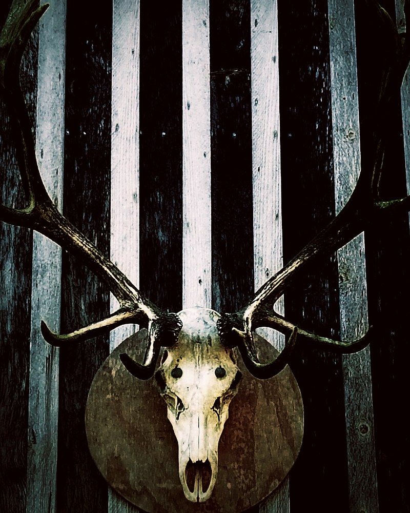 Photograph by Nikki May