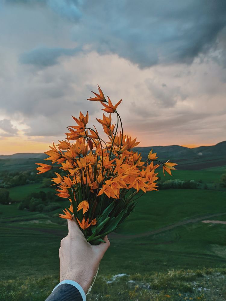 Photograph by Владимир Куликов