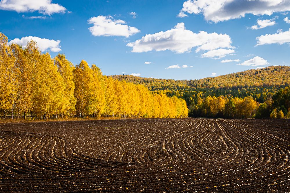 Осенние узоры