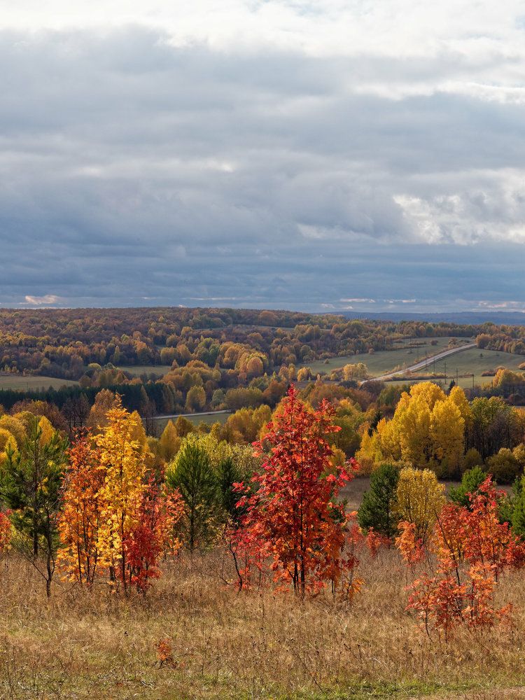 Photograph by Алексей Львов