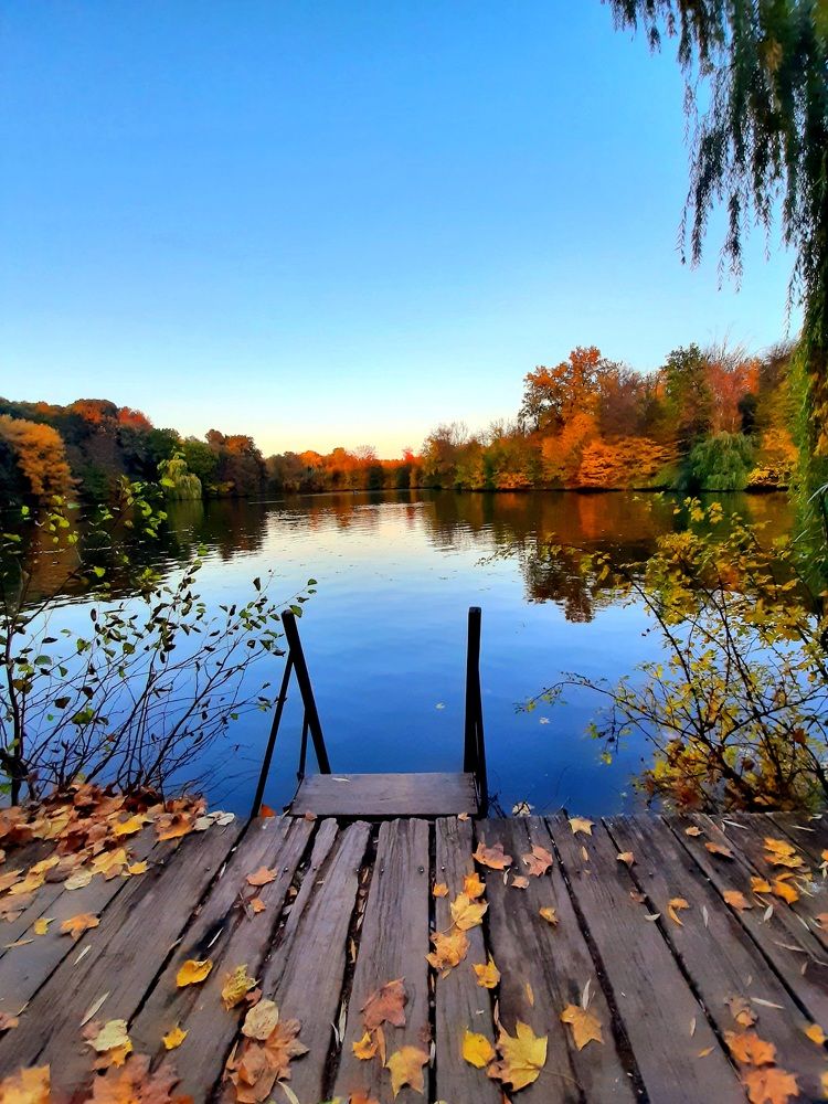 Photograph by Ирина Гнатюк