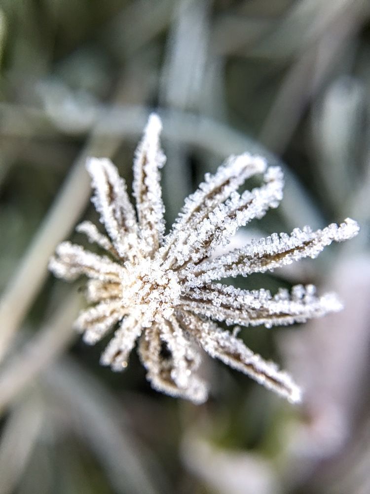 Photograph by Tatyana