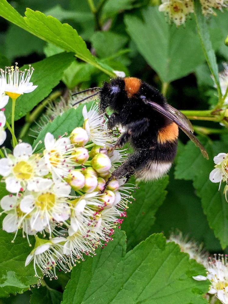 Photograph by Tatyana