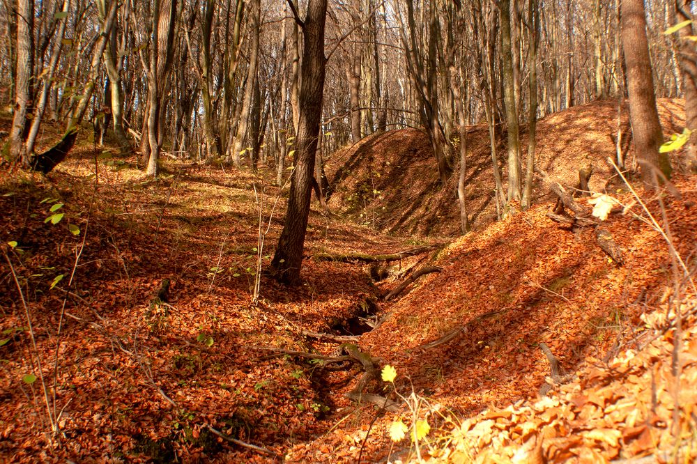 Photograph by Богдан Бигун