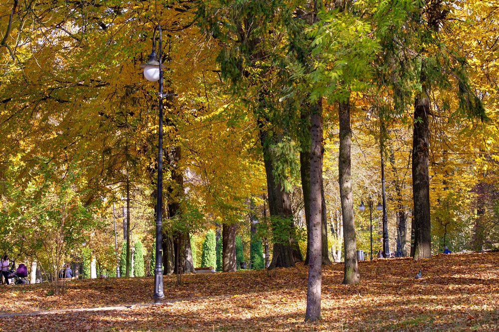 Photograph by Богдан Бигун