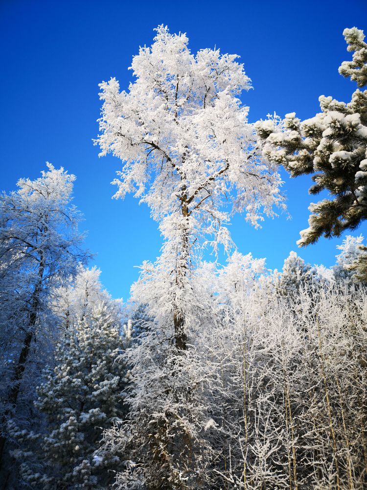 Photograph by Денис Ольгович