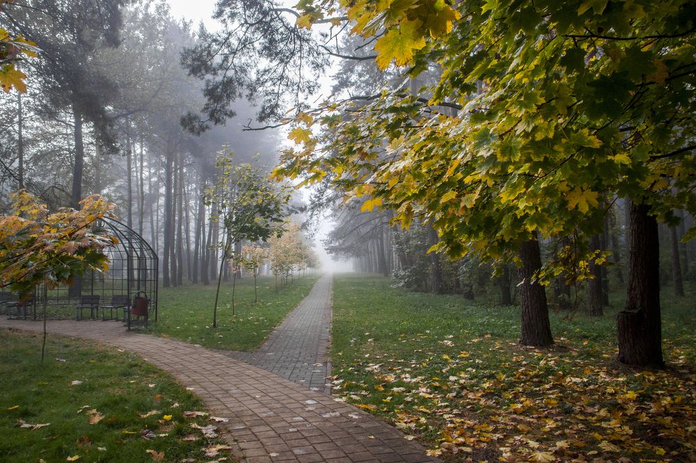 Туманы октября - 1