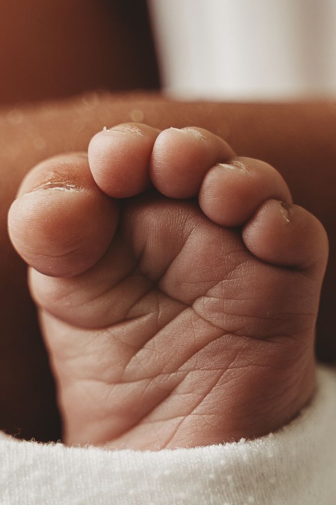 Photograph by Etili Hollander