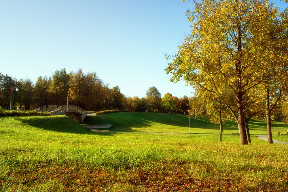 Фотография автора Юлия Кранина