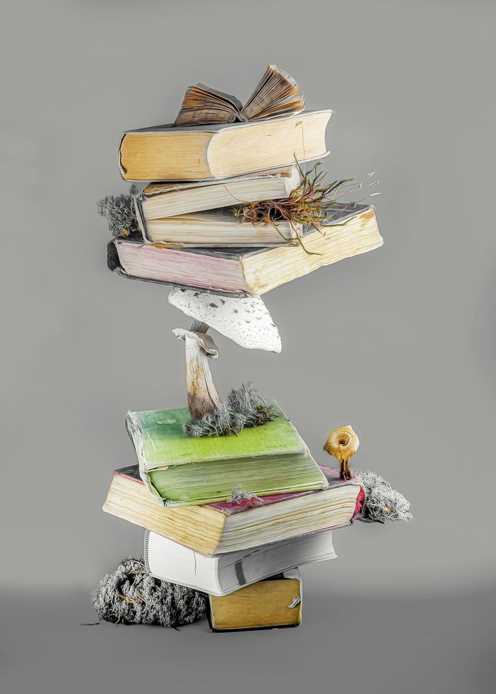 Photograph by Margarita