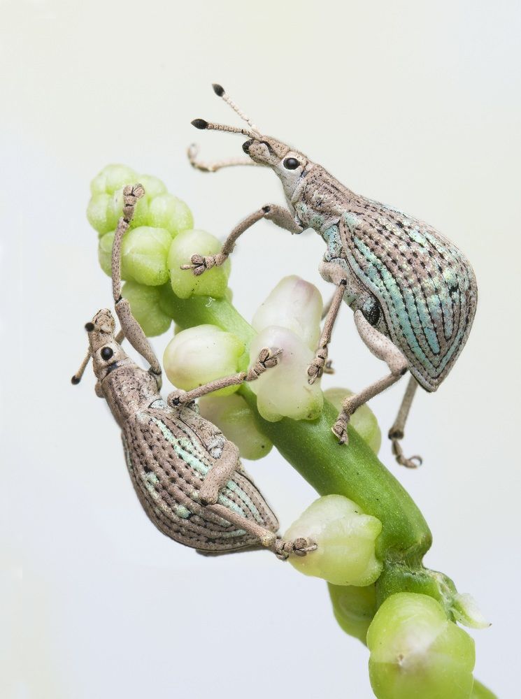 Photograph by Catherine Chong