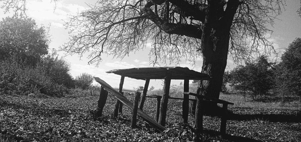Photo #6603371