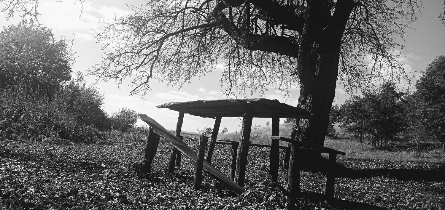 Photo #6603371