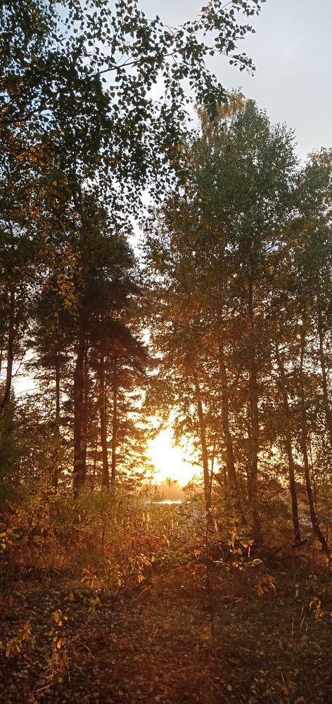 Photo #6603379