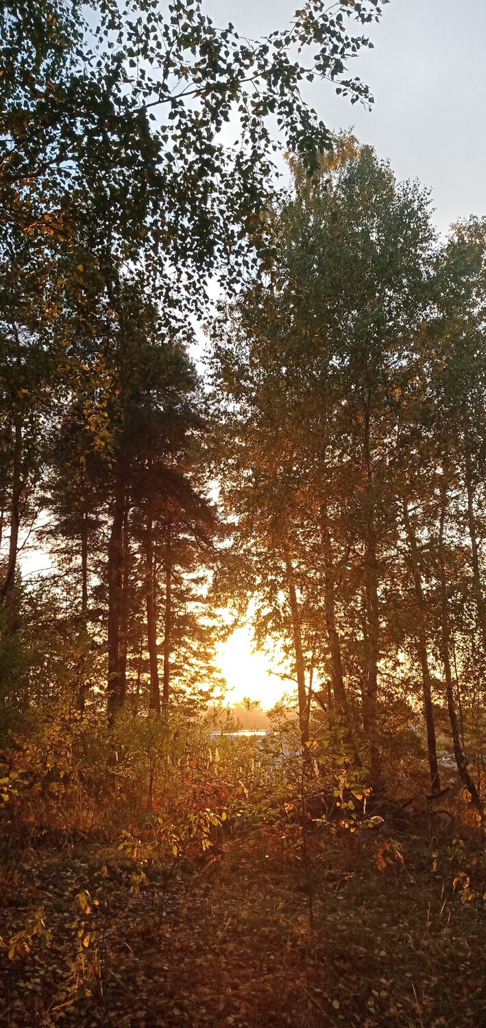 Photo #6603379