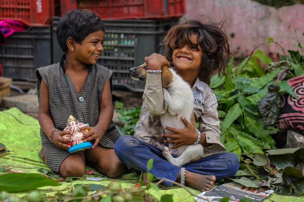 Фотография автора Vijay Richhiya