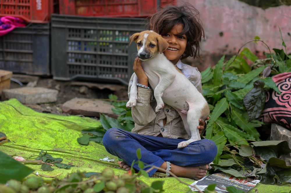 Фотография автора Vijay Richhiya