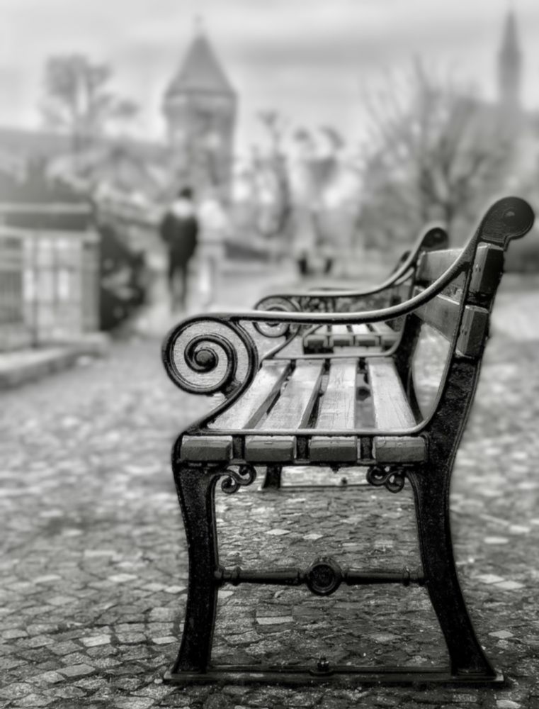 Photograph by Malgorzata Lemiec