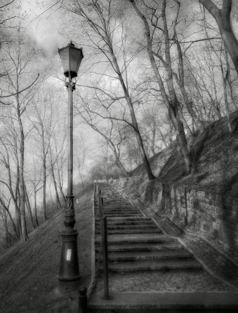 Photograph by Malgorzata Lemiec