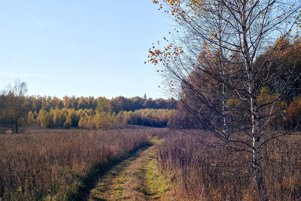 Photograph by Иван Бондаренко