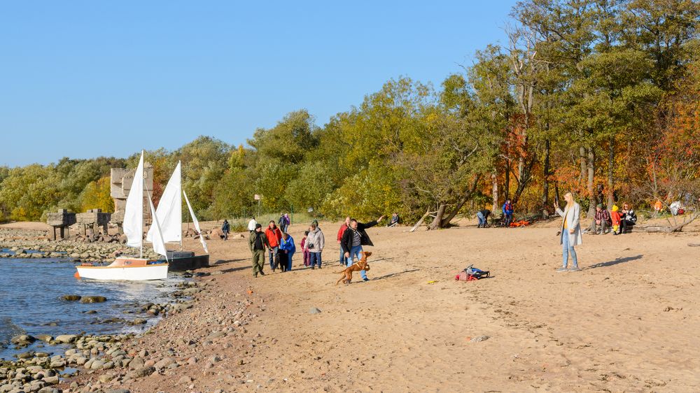 Выходные за городом