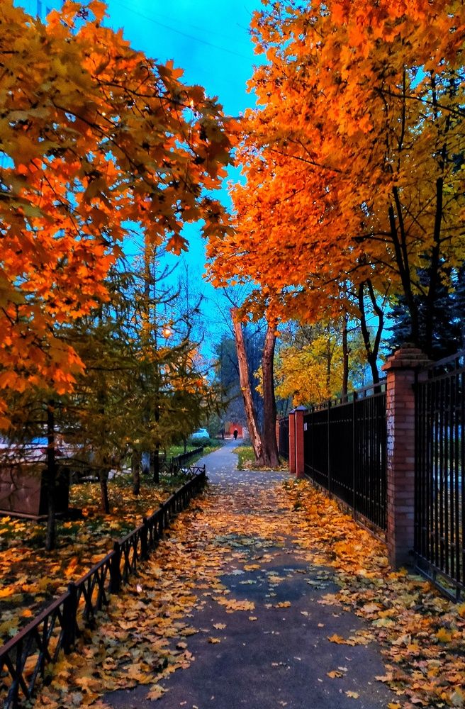 Photograph by Ксения