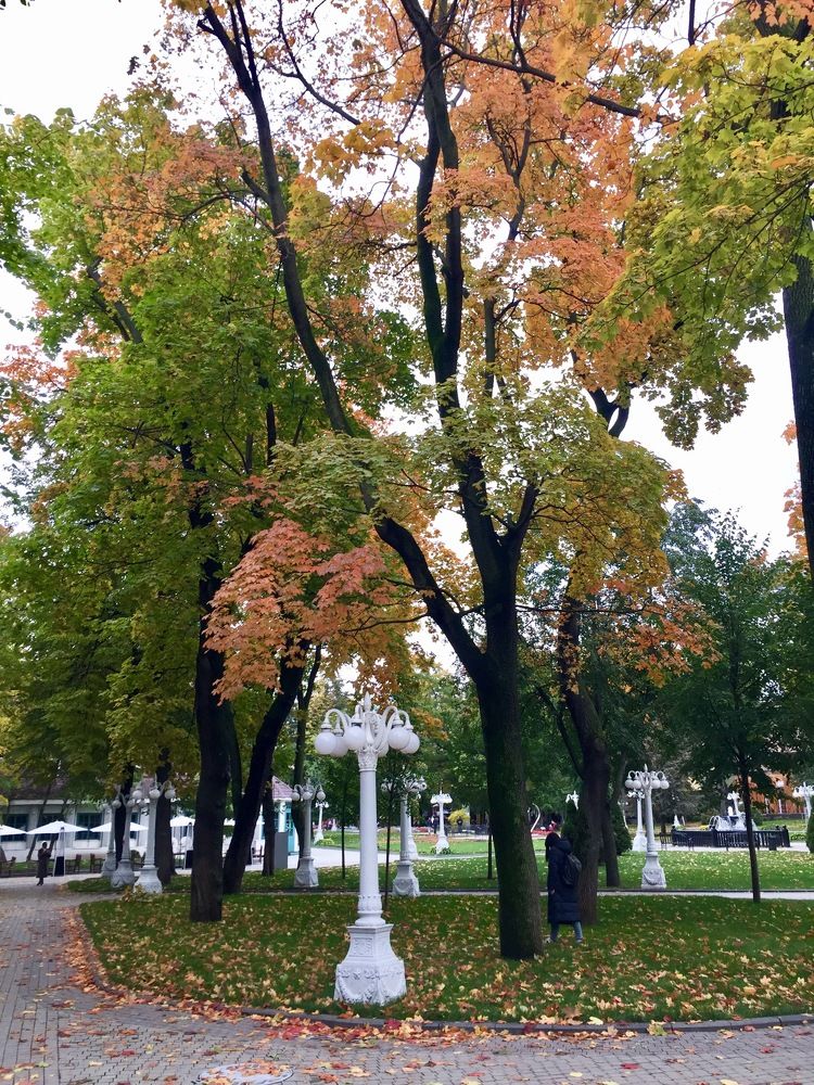 Осень в саду Эрмитаж