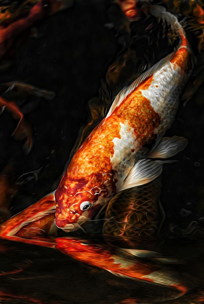 Фотография автора Tính Nguyễn