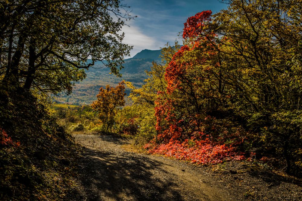 Photograph by Игорь Сидун