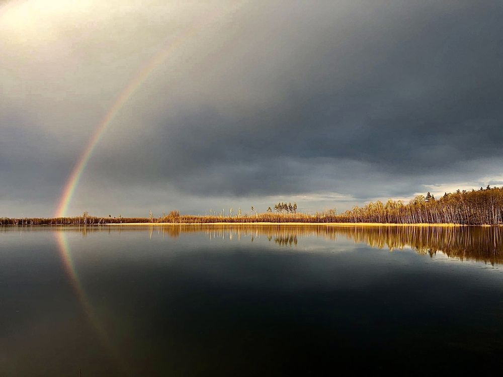 Photograph by Шестакова Наталья