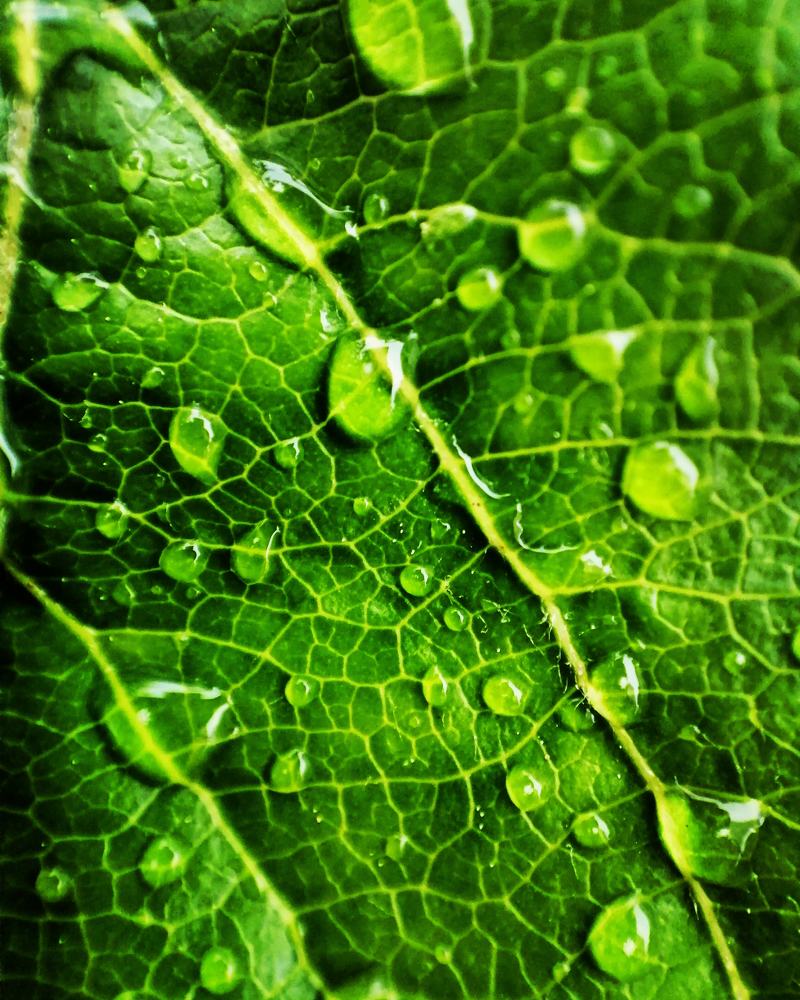 Photograph by Svetlana