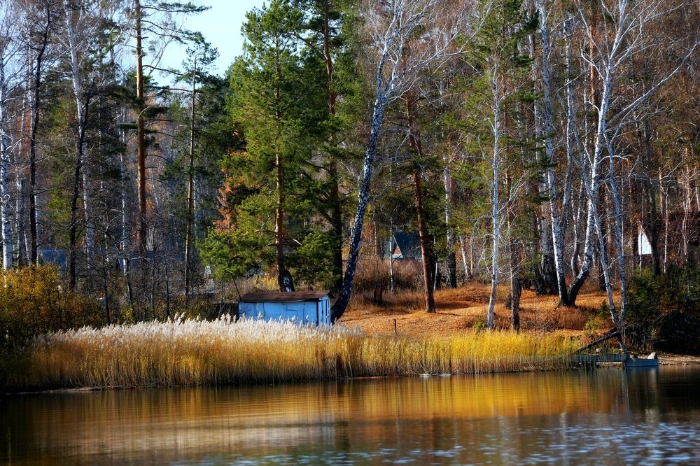 Photograph by Эдуард Петруша