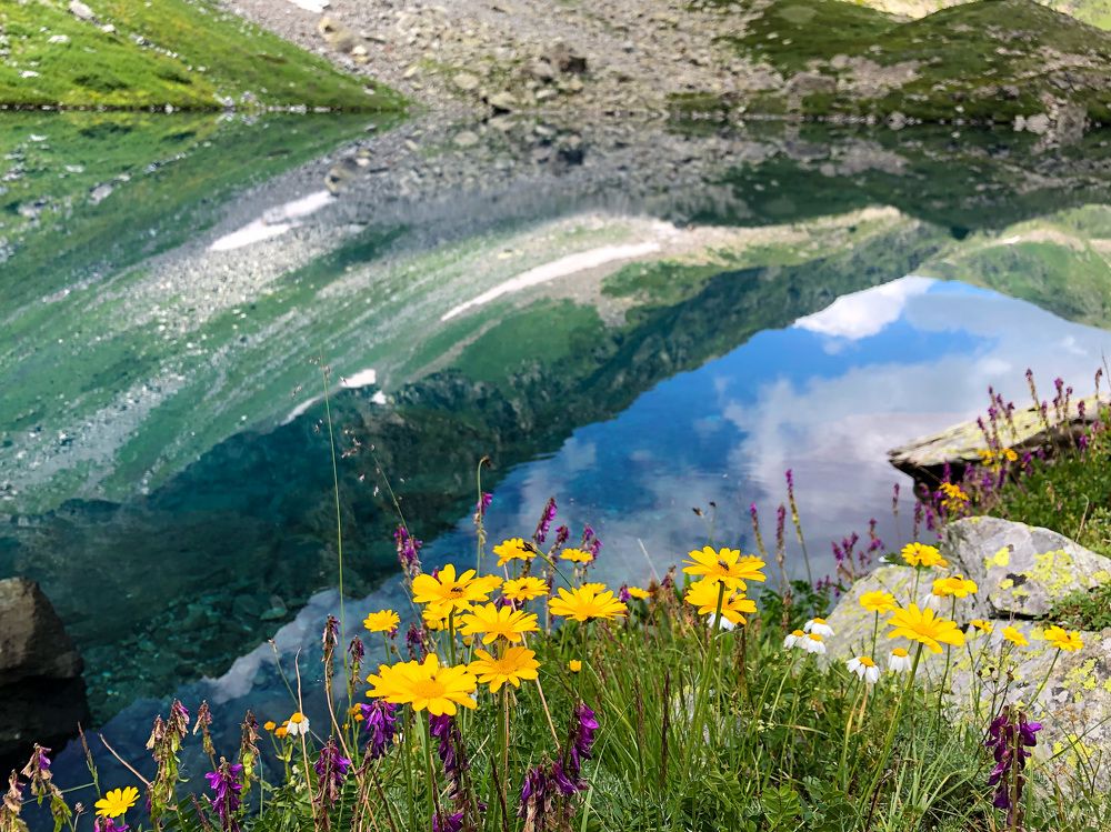 Photograph by Анастасия