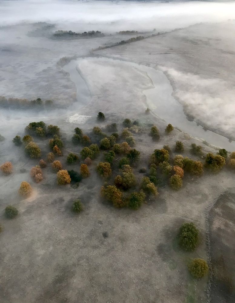 Photograph by Шестакова Наталья