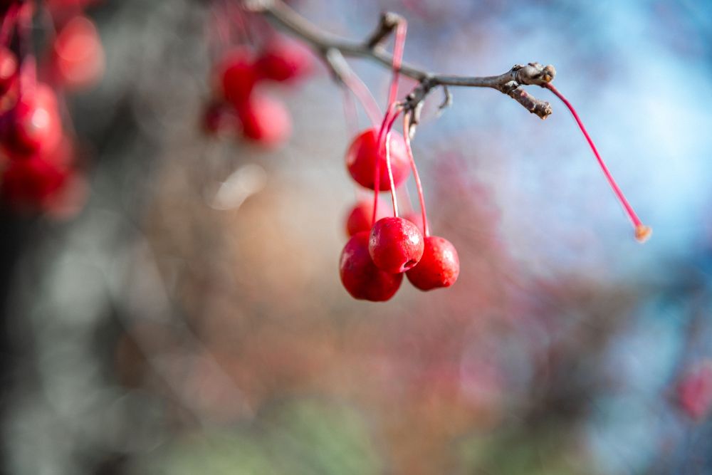 Photograph by Юрий Киреичев